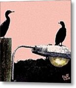 Birds On Light Metal Print