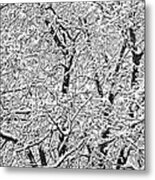 Black And White Snowy Tree Branches Abstract Six Metal Print