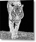 Black-and-white Tiger Metal Print