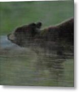 Black Bear Cub Metal Print