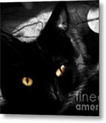 Black Cat Golden Eye Metal Print