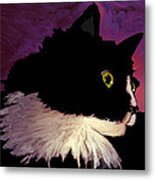 Black Cat On Purple Horizontal Metal Print