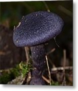 Black Mushroom Metal Print