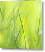 Blades Of Grass - Green Spring Meadow - Abstract Soft Blurred Metal Print
