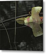 Blossom Rain 45 Metal Print