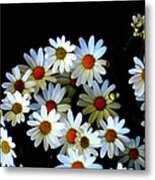 Blossoming Darkness Metal Print