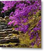 Blossoms And Stones Metal Print