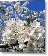 Blossoms Of Spring Metal Print
