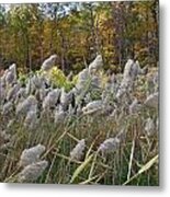 Blowing In The Wind Metal Print