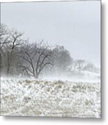 Blowing Snow Over Fields And Forest Metal Print