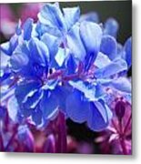 Blue And Purple Flowers Metal Print