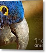 Blue Bird Metal Print