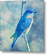 Blue Bird Blue Sky Metal Print