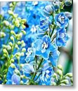 Blue Flowers Metal Print