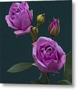 Blue Moon Roses Metal Print