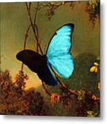 Blue Morpho Butterfly Metal Print