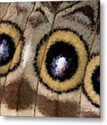 Blue Morpho Butterfly Underwing Abstract Metal Print