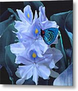 Blue Moth And Hyacinth Metal Print