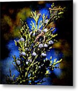 Blue Nature Metal Print