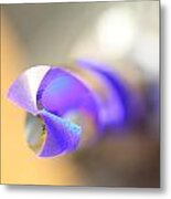 Blue Three Quarter Metal Print