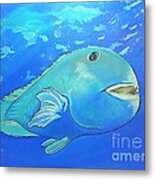 Blue Tuskfish Metal Print