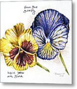 Blue Yellow Pansies Metal Print