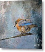 Bluebird In Winter Metal Print