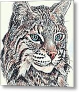Bobcat Portrait Metal Print