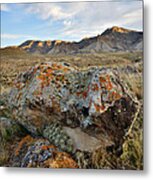 Bookcliffs 145 Metal Print