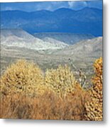 Bosque Del Apache No. 2 Metal Print