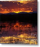Bosque Sunset - Orange Metal Print