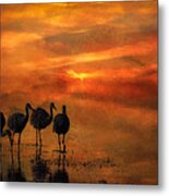 Bosque Sunset Metal Print