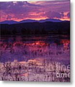 Bosque Sunset - Purple Metal Print