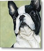 Boston Terrier Metal Print