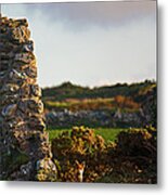 Botallack Fox At Sunset Metal Print