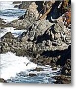 Botanical Garden Coastal View Metal Print