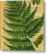 Botanical Print On Old Book Page Metal Print