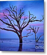 Botany Bay Sunset 2 Metal Print