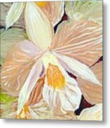 Boxed Orchids Detail Metal Print