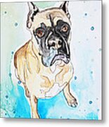 Boxer Metal Print