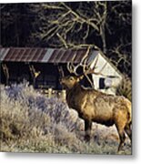 Boxley Stud At Clark Pond Metal Print