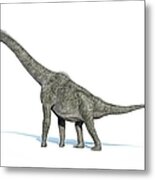 Brachiosaurus Dinosaur, Artwork Metal Print