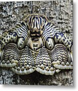 Brahmin Moth Camouflaged Philippines Metal Print