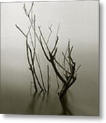 Branches In The Water Metal Print