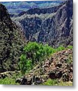 Bright Angel Creek At Phantom Ranch At The Bottom Of Grand Canyon National Park Metal Print