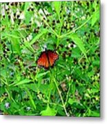 Bright Butterfly Metal Print