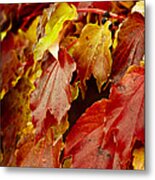 Brightest Before The Fall Metal Print