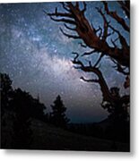 Bristlecone Pine And The Milky Way Metal Print