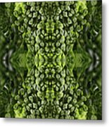 Broccoli Flower Buds Metal Print