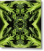 Broccoli Metal Print